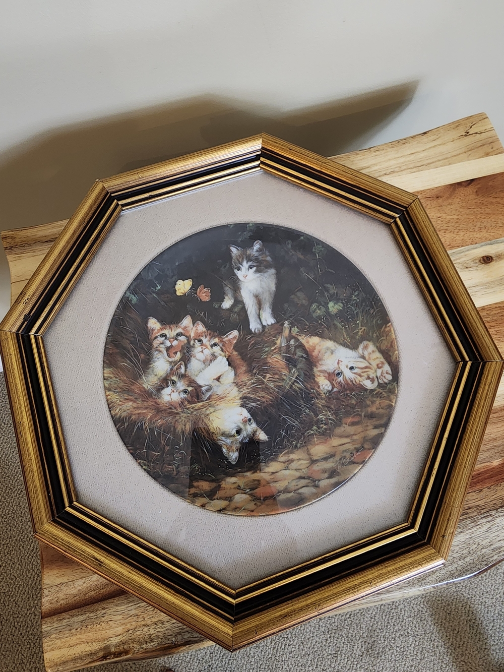 Vintage 1991 Seltmann Weiden Framed Cat Collector Plate Cottagecore Wall Decor - Picture 7 of 11